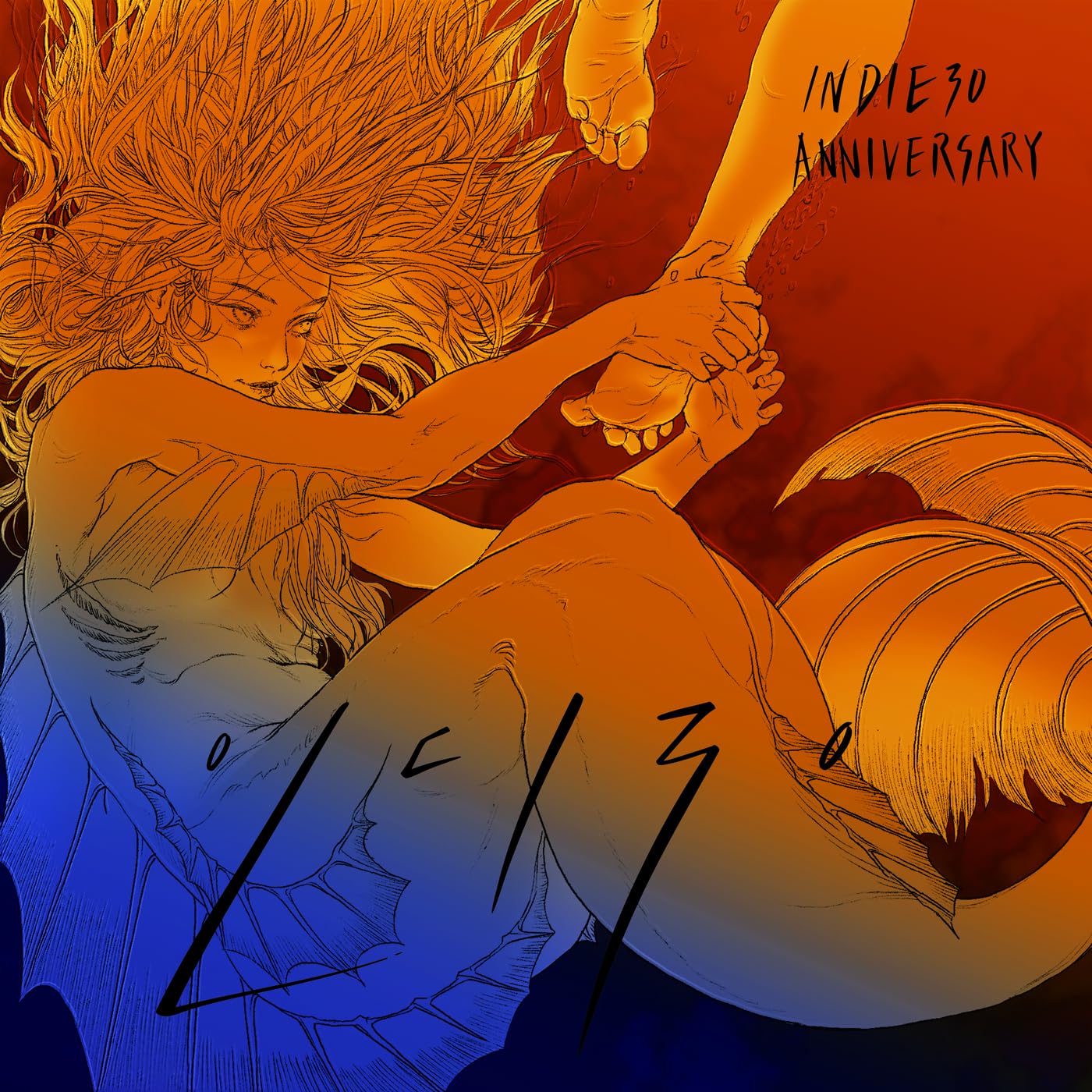 Image Cover